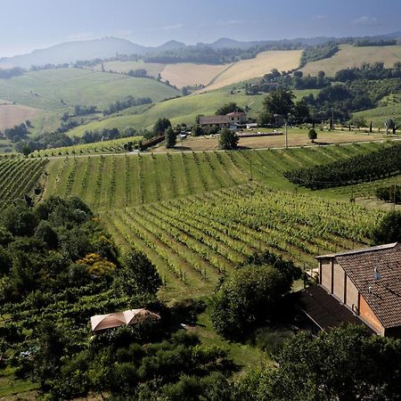La Ca Dal Non Bioagriturismo - Alpenice Savignano sul Panaro Luaran gambar