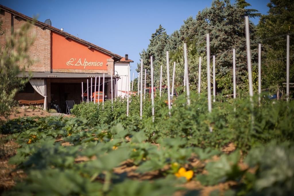 La Ca Dal Non Bioagriturismo - Alpenice Savignano sul Panaro Luaran gambar