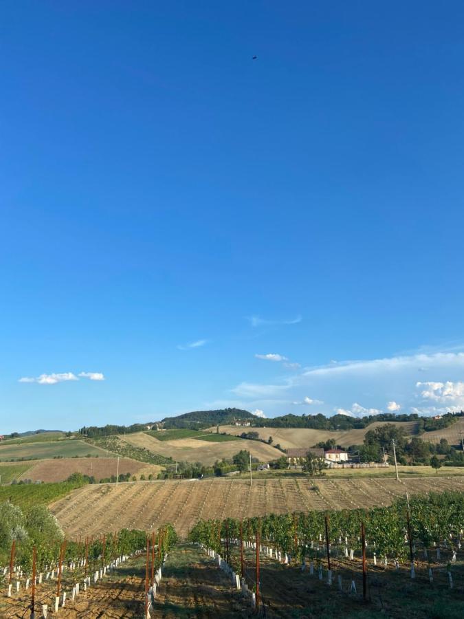 La Ca Dal Non Bioagriturismo - Alpenice Savignano sul Panaro Luaran gambar