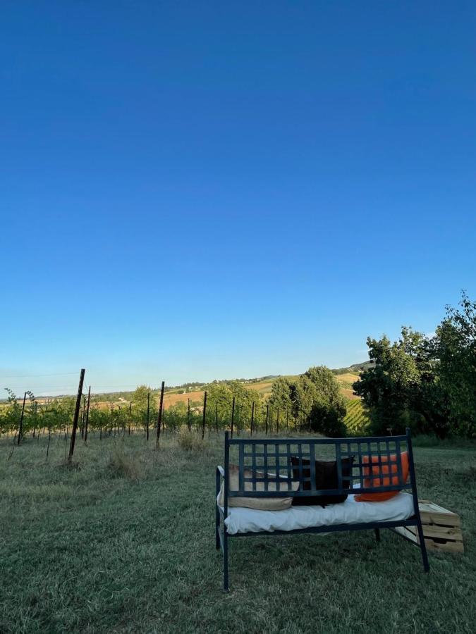La Ca Dal Non Bioagriturismo - Alpenice Savignano sul Panaro Luaran gambar