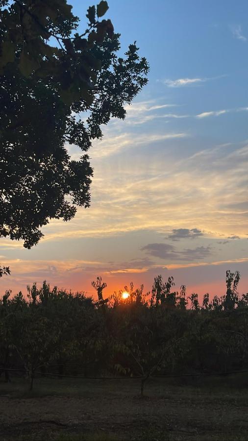 La Ca Dal Non Bioagriturismo - Alpenice Savignano sul Panaro Luaran gambar