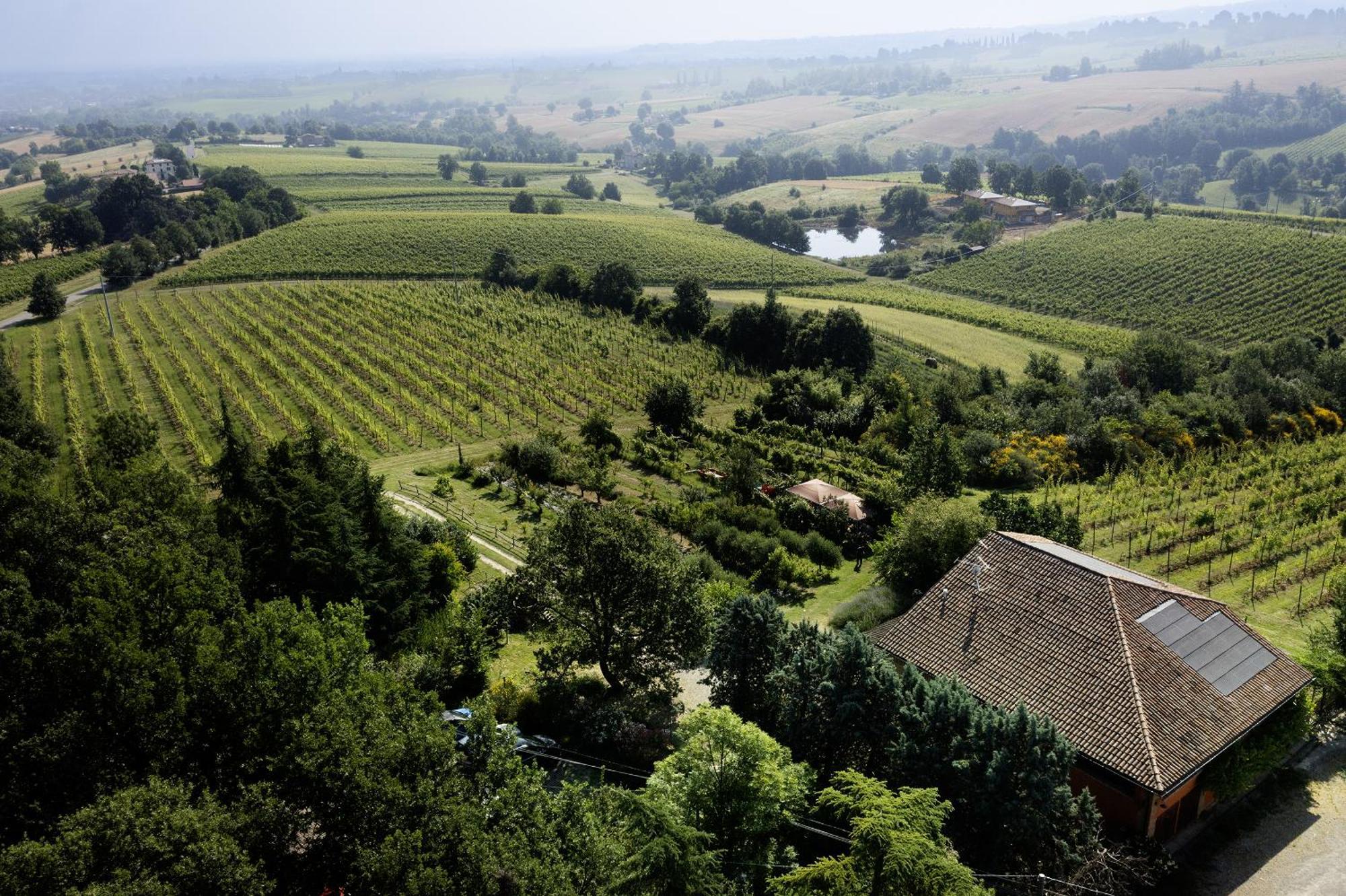 La Ca Dal Non Bioagriturismo - Alpenice Savignano sul Panaro Luaran gambar