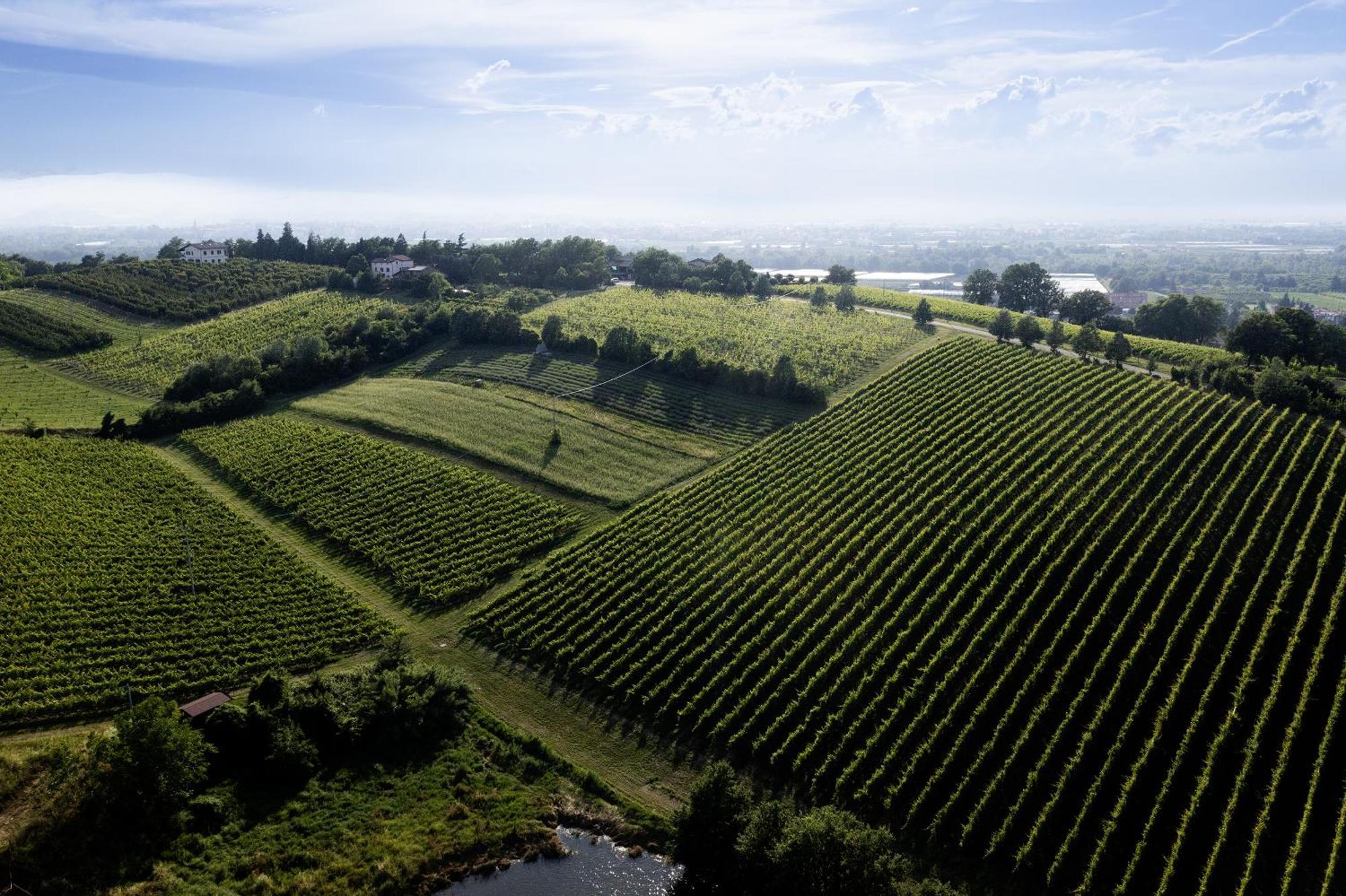 La Ca Dal Non Bioagriturismo - Alpenice Savignano sul Panaro Luaran gambar