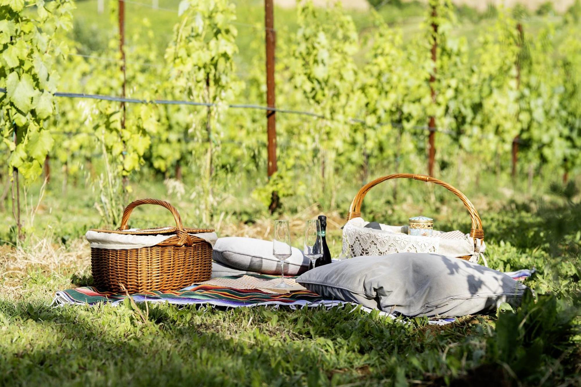 La Ca Dal Non Bioagriturismo - Alpenice Savignano sul Panaro Luaran gambar