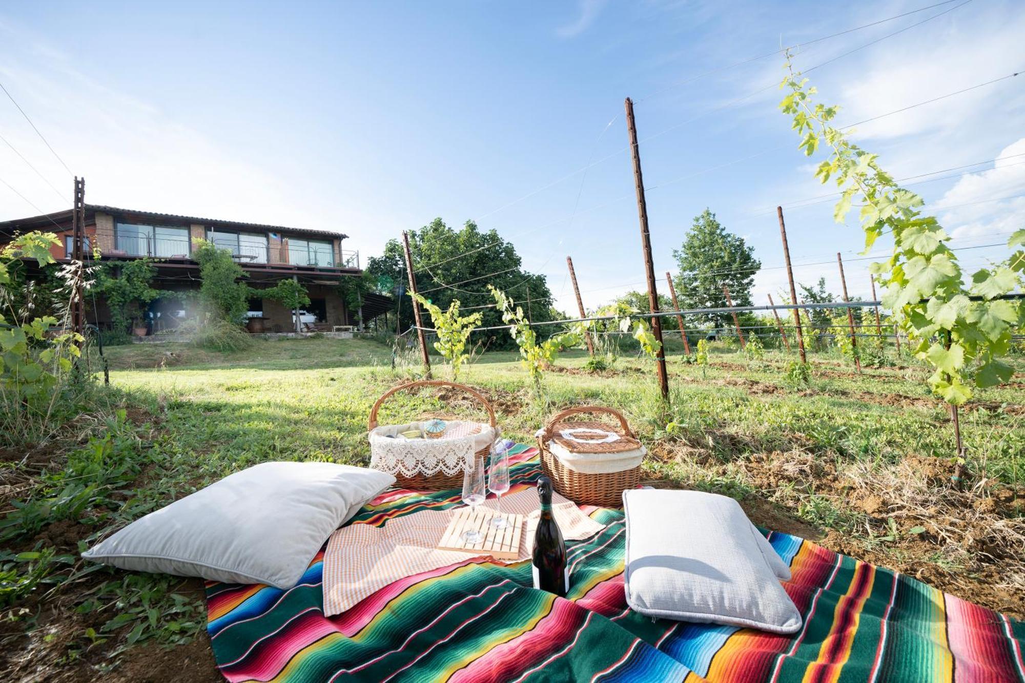 La Ca Dal Non Bioagriturismo - Alpenice Savignano sul Panaro Luaran gambar