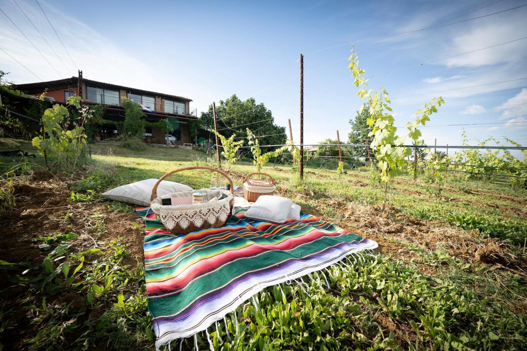 La Ca Dal Non Bioagriturismo - Alpenice Savignano sul Panaro Luaran gambar