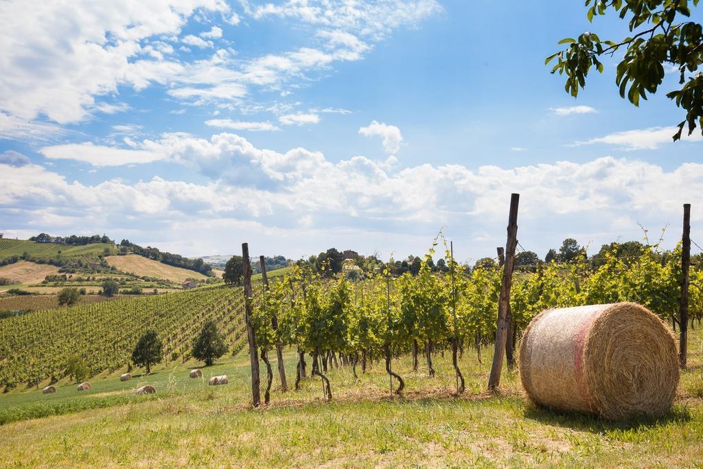 La Ca Dal Non Bioagriturismo - Alpenice Savignano sul Panaro Luaran gambar