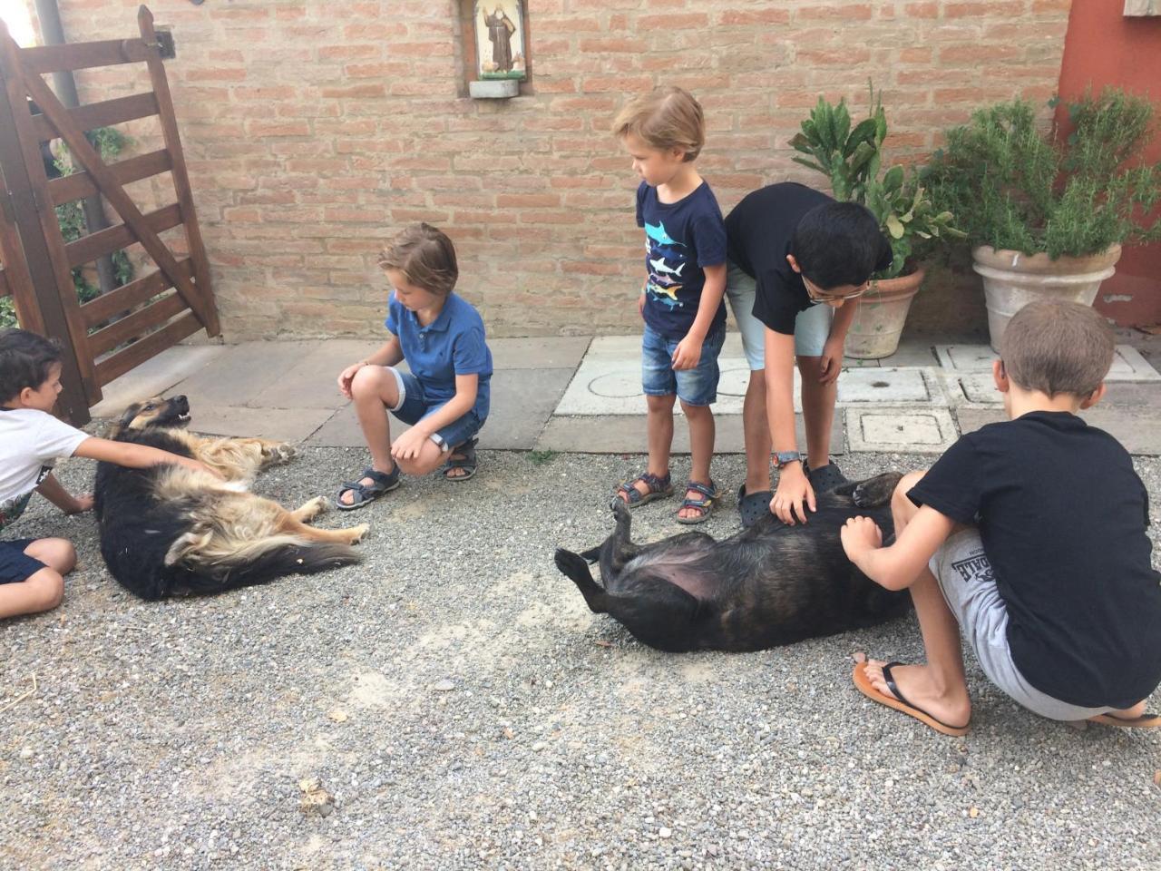 La Ca Dal Non Bioagriturismo - Alpenice Savignano sul Panaro Luaran gambar